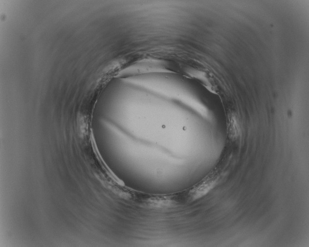 X0000076090284200610061649