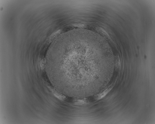 X0000076090285200610061649