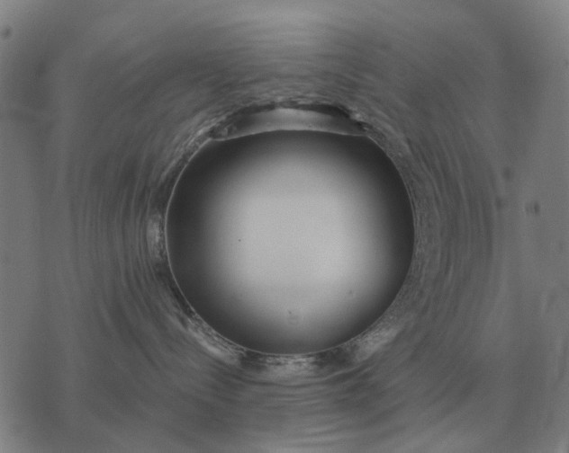 X0000076090288200610061649