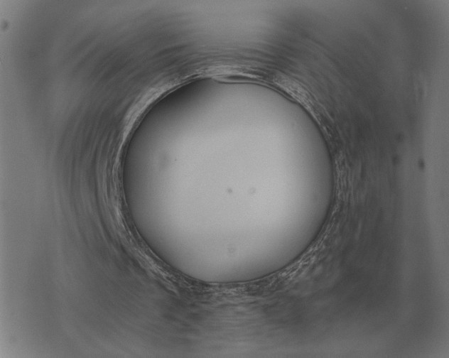 X0000076090289200610061648