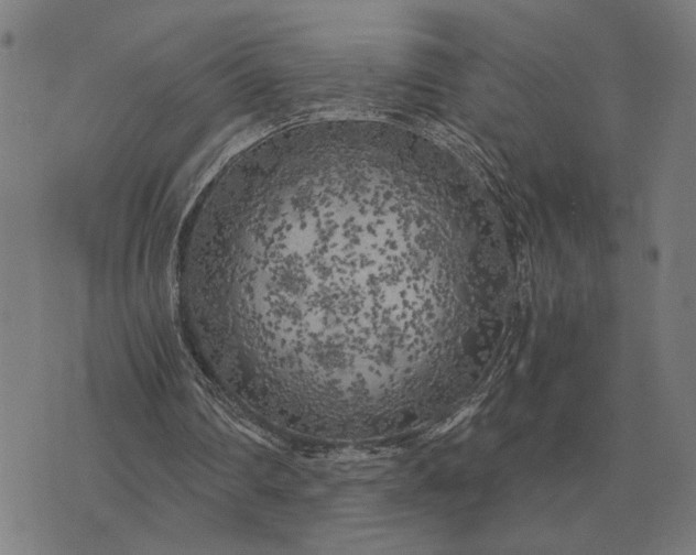 X0000076090290200610061648