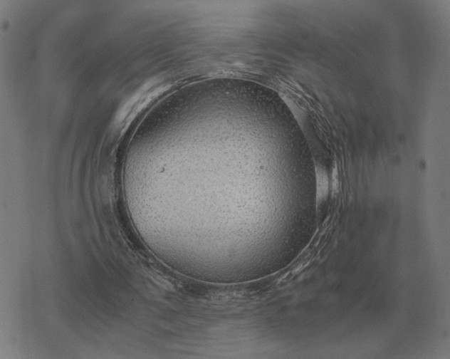 X0000076090291200610061648