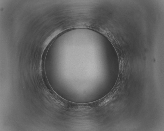 X0000076090292200610061648