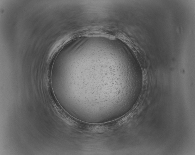 X0000076090293200610061648