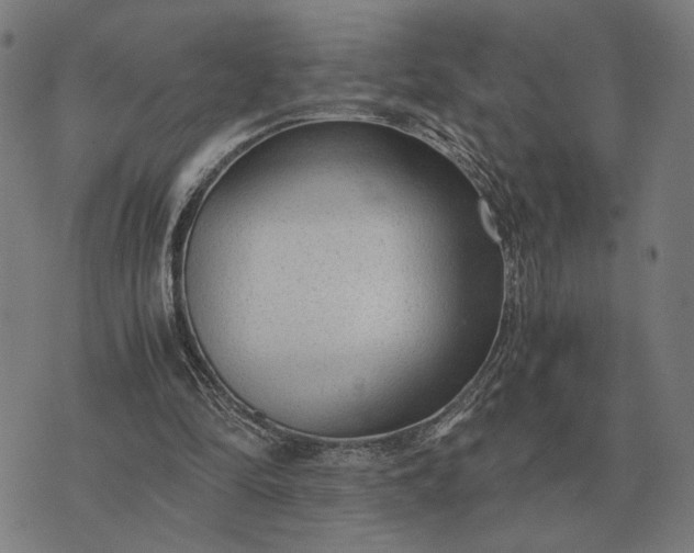 X0000076090294200610061648