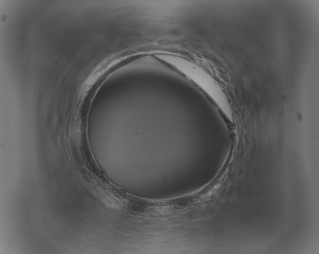 X0000076090295200610061648