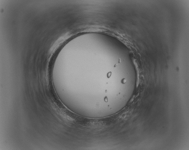 X0000076090296200610061648