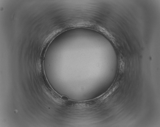 X0000076090298200610061648