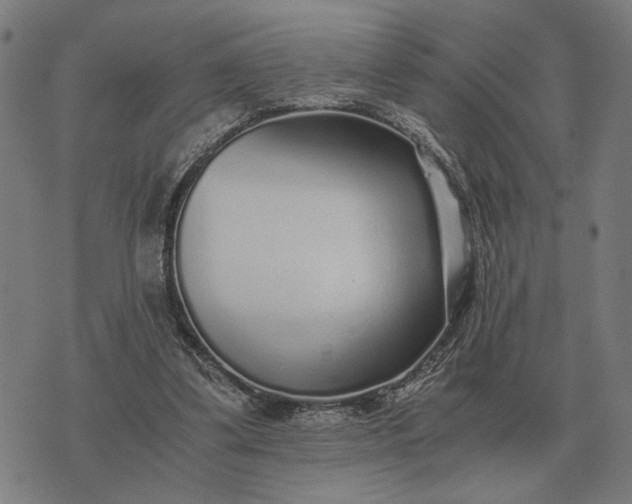 X0000076090299200610061648