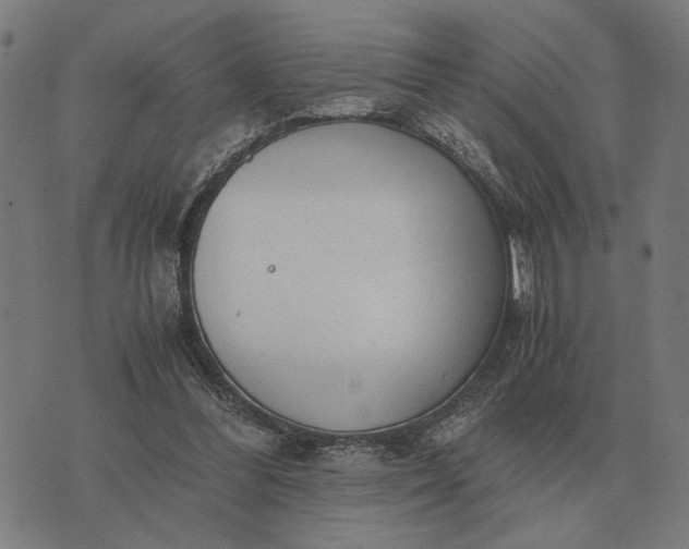 X0000076090300200610061648