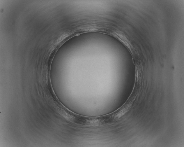 X0000076090301200610061648