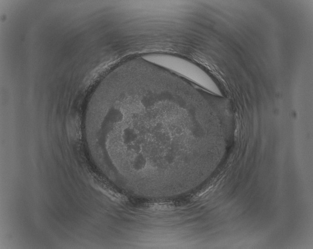 X0000076090303200610061648