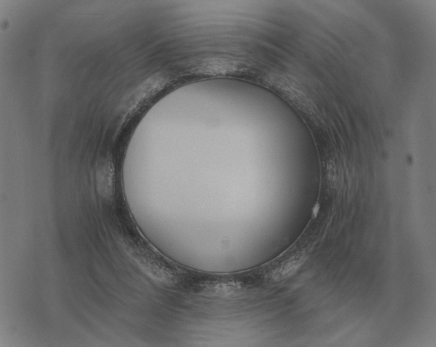 X0000076090304200610061648