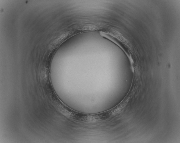 X0000076090305200610061648