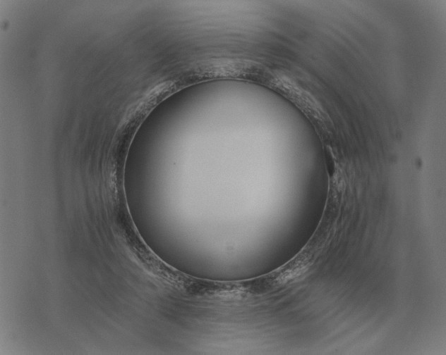 X0000076090306200610061648