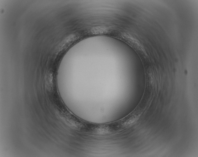 X0000076090308200610061648