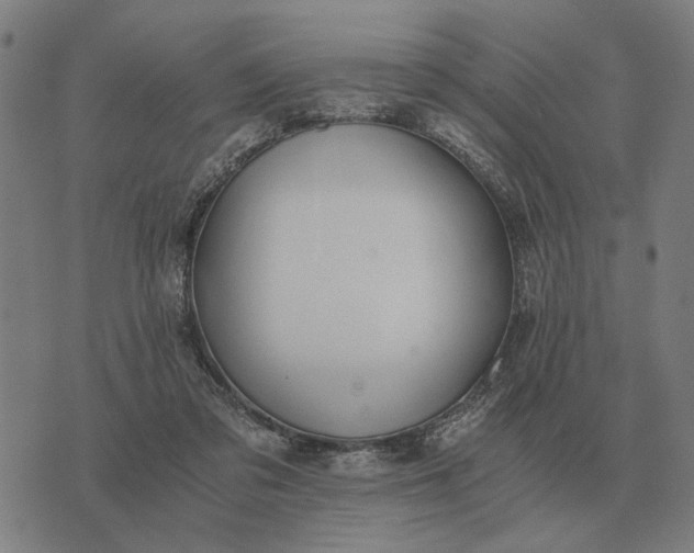 X0000076090309200610061648