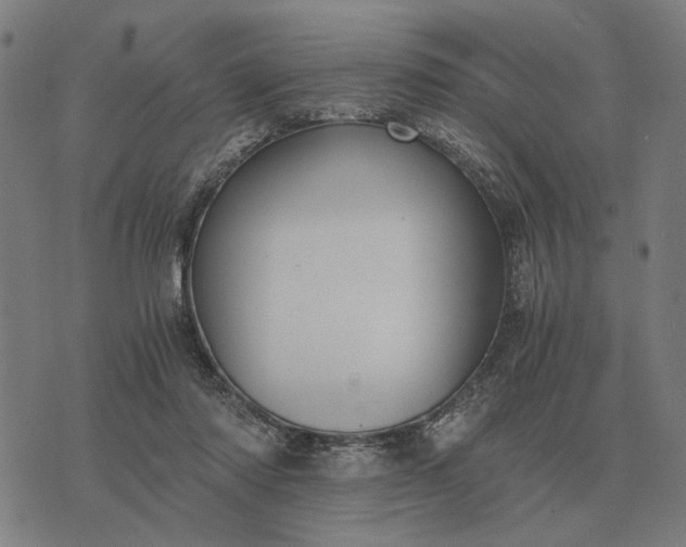 X0000076090310200610061648