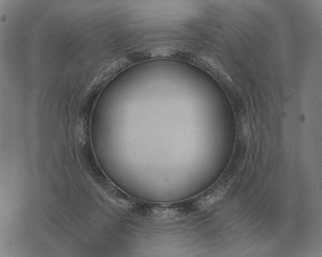 X0000076090311200610061648