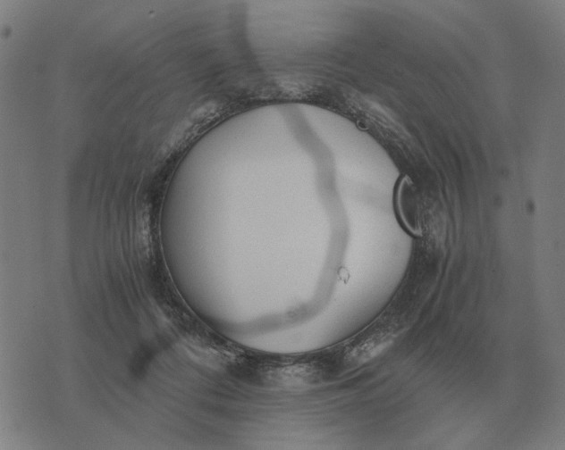 X0000076090312200610061648