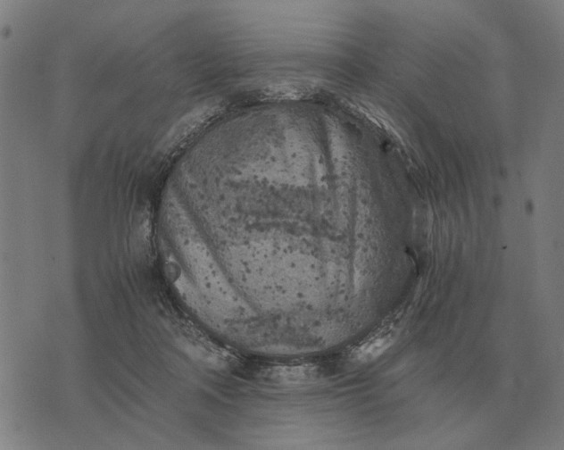 X0000076090314200610061648