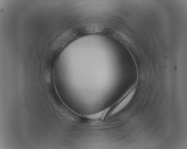 X0000076090315200610061648