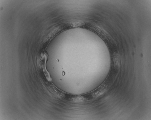 X0000076090316200610061647