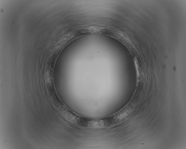 X0000076090317200610061647