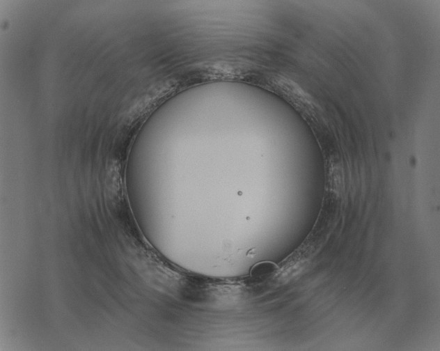 X0000076090318200610061647