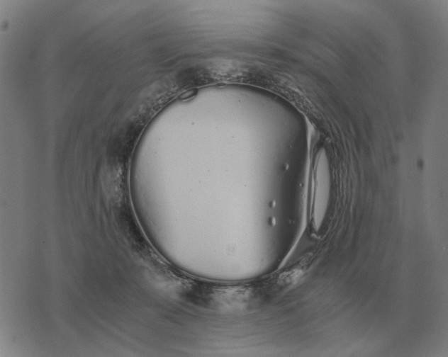 X0000076090319200610061647