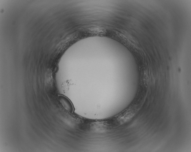 X0000076090320200610061647