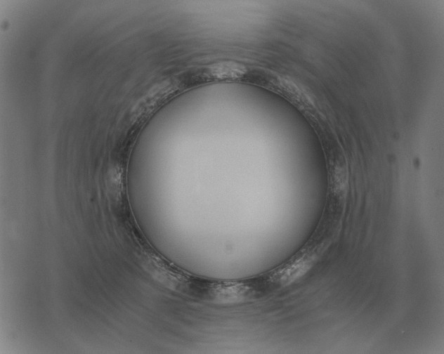 X0000076090321200610061647