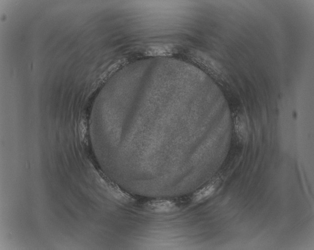 X0000076090322200610061647