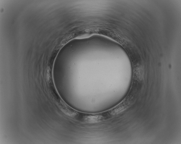 X0000076090323200610061647