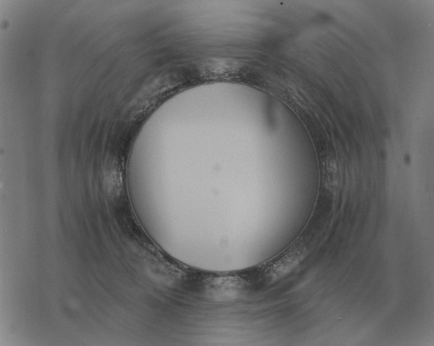 X0000076090324200610061647