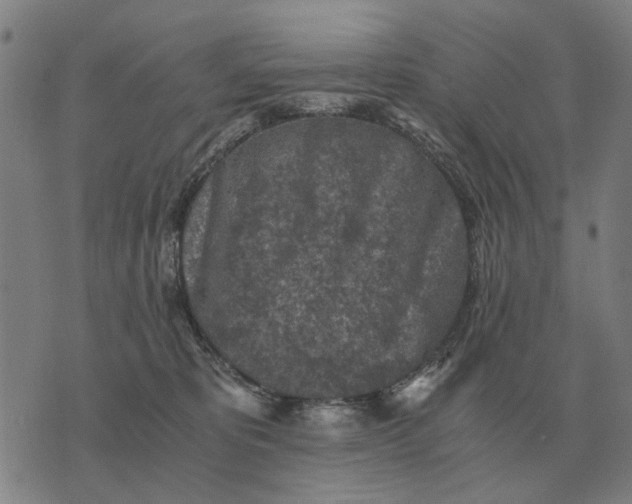 X0000076090325200610061647