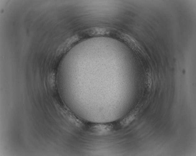 X0000076090326200610061647