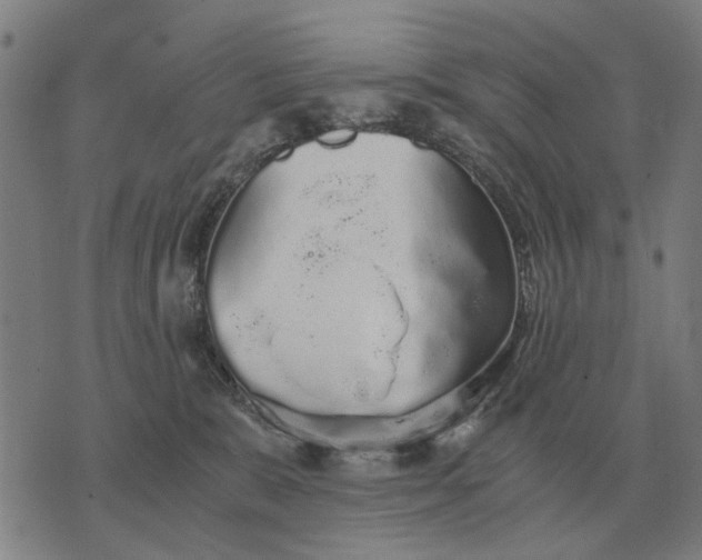 X0000076090327200610061647