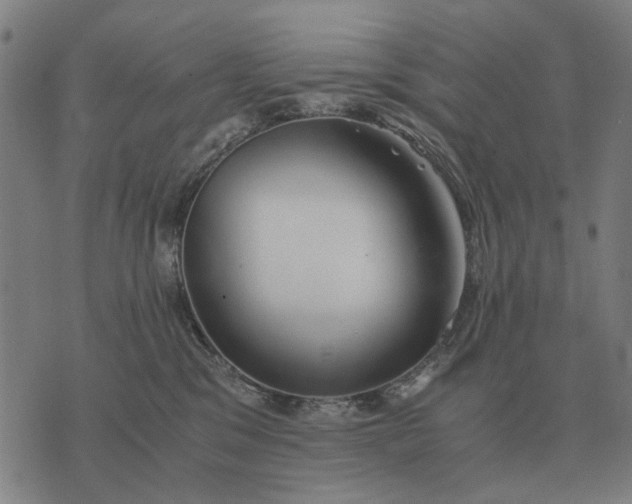 X0000076090329200610061647