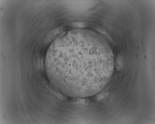 X0000076090330200610061647