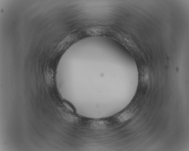 X0000076090332200610061647