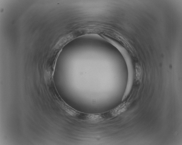 X0000076090333200610061647