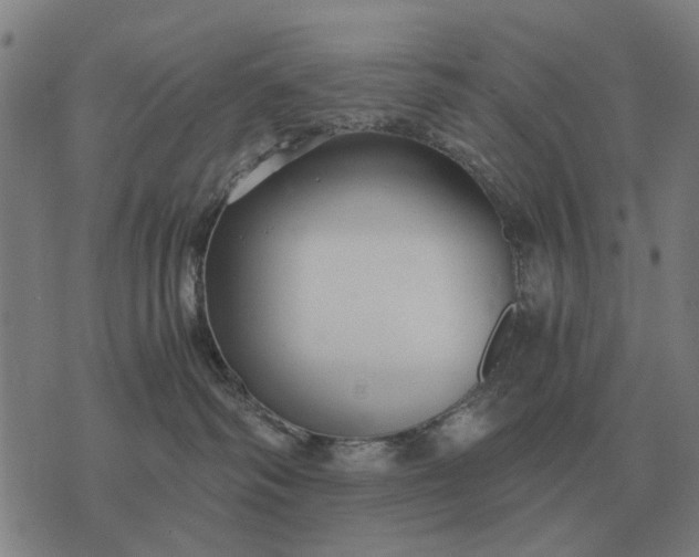 X0000076090334200610061647