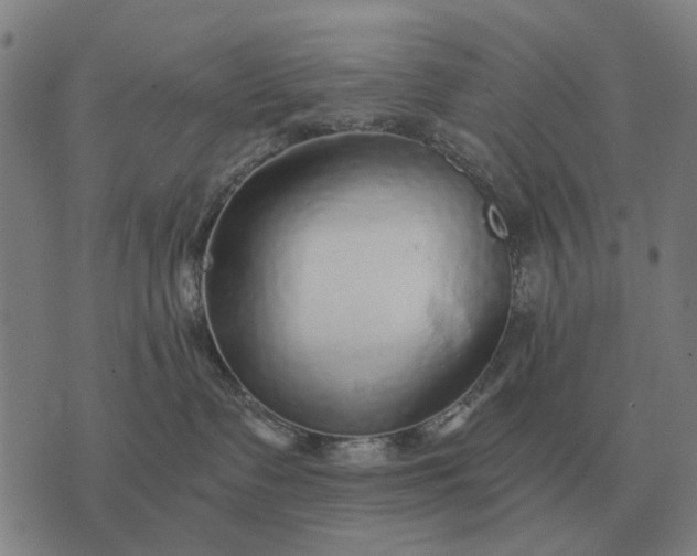 X0000076090335200610061647