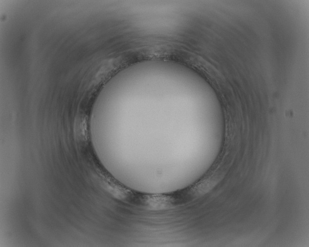 X0000076090336200610061647