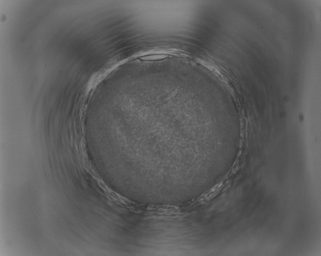 X0000076090337200610061646