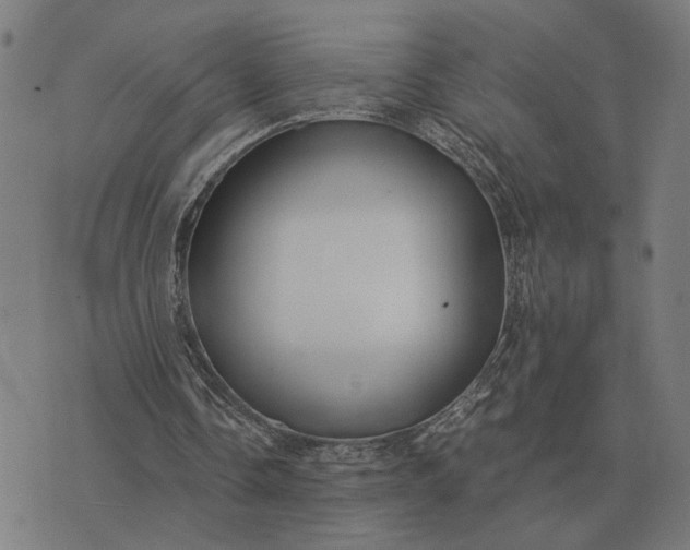 X0000076090338200610061646