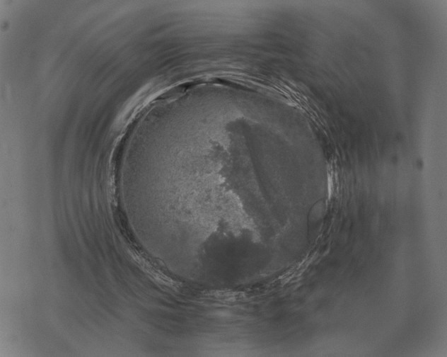 X0000076090339200610061646