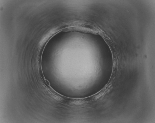 X0000076090341200610061646