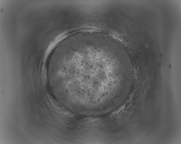 X0000076090343200610061646